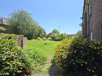 Picture 13
